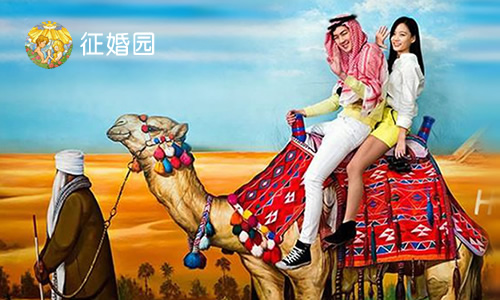 征婚园